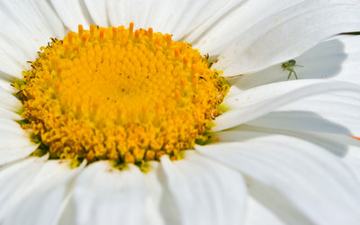 Similar image 415030