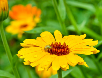 Similar image 415031