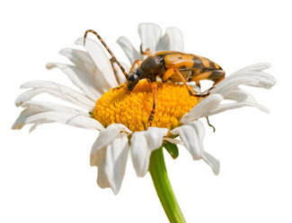 Similar image 415032