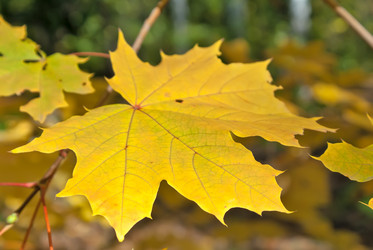 Similar image 415037