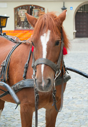 Similar image 415086