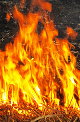 Similar image 415091