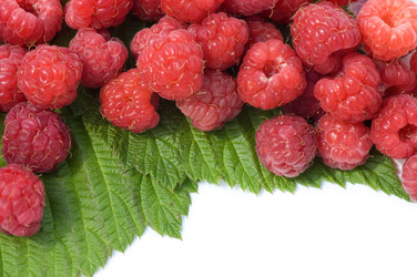 Similar image 415141