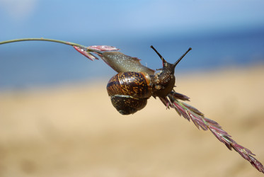 Similar image 415149