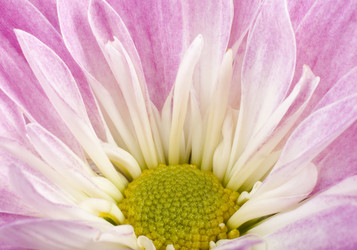 Similar image 415206