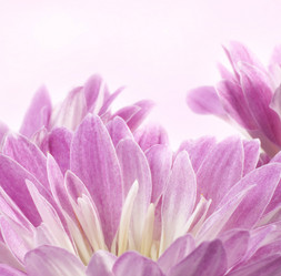 Similar image 415207