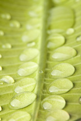 Similar image 415228