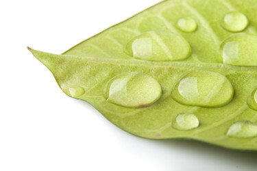 Similar image 415229