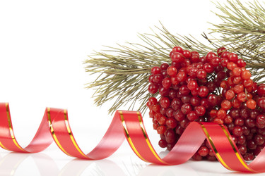 Similar image 415240