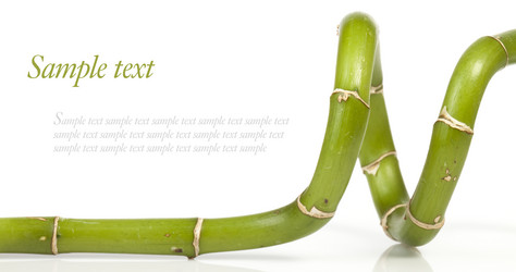 Similar image 415263