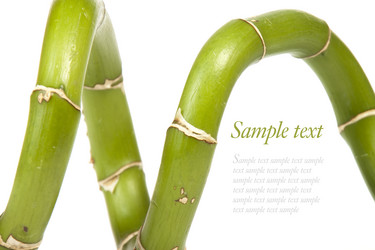 Similar image 415264