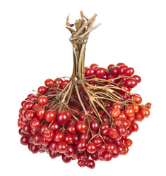 Similar image 415292