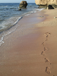 Similar image 415414