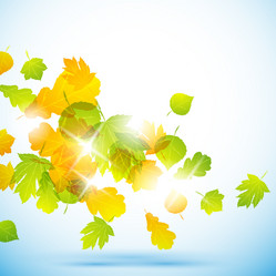 Similar image 415449