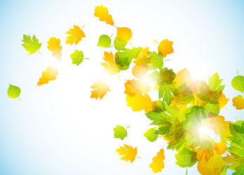 Similar image 415451