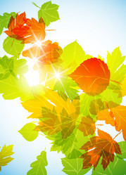 Similar image 415452