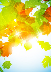 Similar image 415453