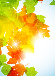 Similar image 415454