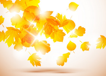 Similar image 415455