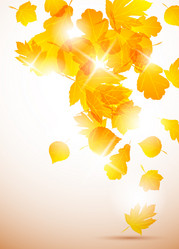 Similar image 415456