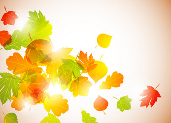 Similar image 415457