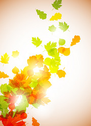 Similar image 415458