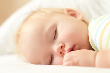 Similar image 415523