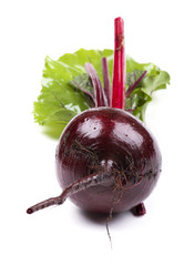 Similar image 415585