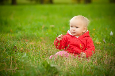 Similar image 415640