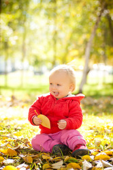 Similar image 415660