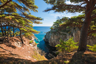 Similar image 415784