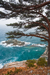 Similar image 415819