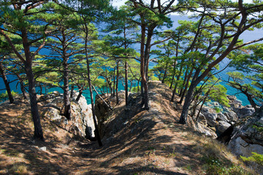 Similar image 415827