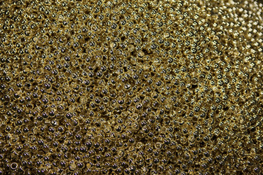 Similar image 415832