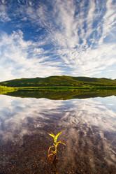 Similar image 415838