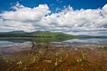 Similar image 415842