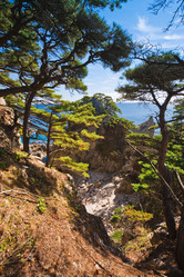 Similar image 415847