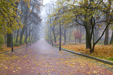 Similar image 415926