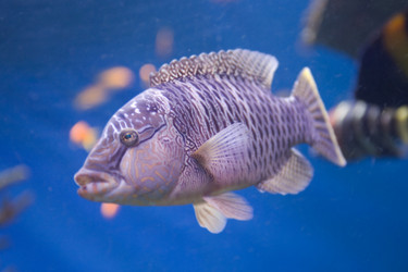 Similar image 415954