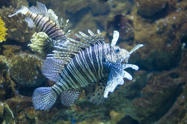 Similar image 415956