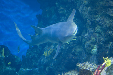 Similar image 415961