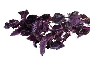 Similar image 415969