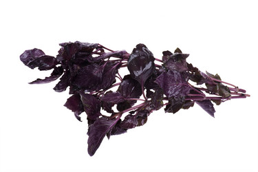 Similar image 415970