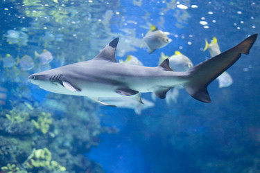 Similar image 416010