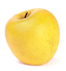 Similar image 416025