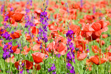 Similar image 416027