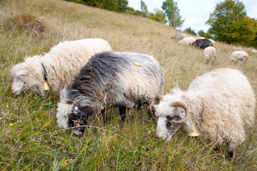 Similar image 416041