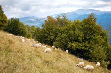 Similar image 416043