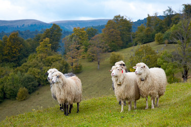 Similar image 416055