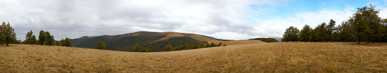 Similar image 416081